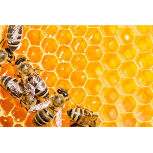 Pure Organic Honey Grade: Food Grade
