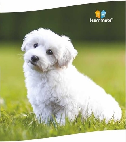 Small Size Notebooks