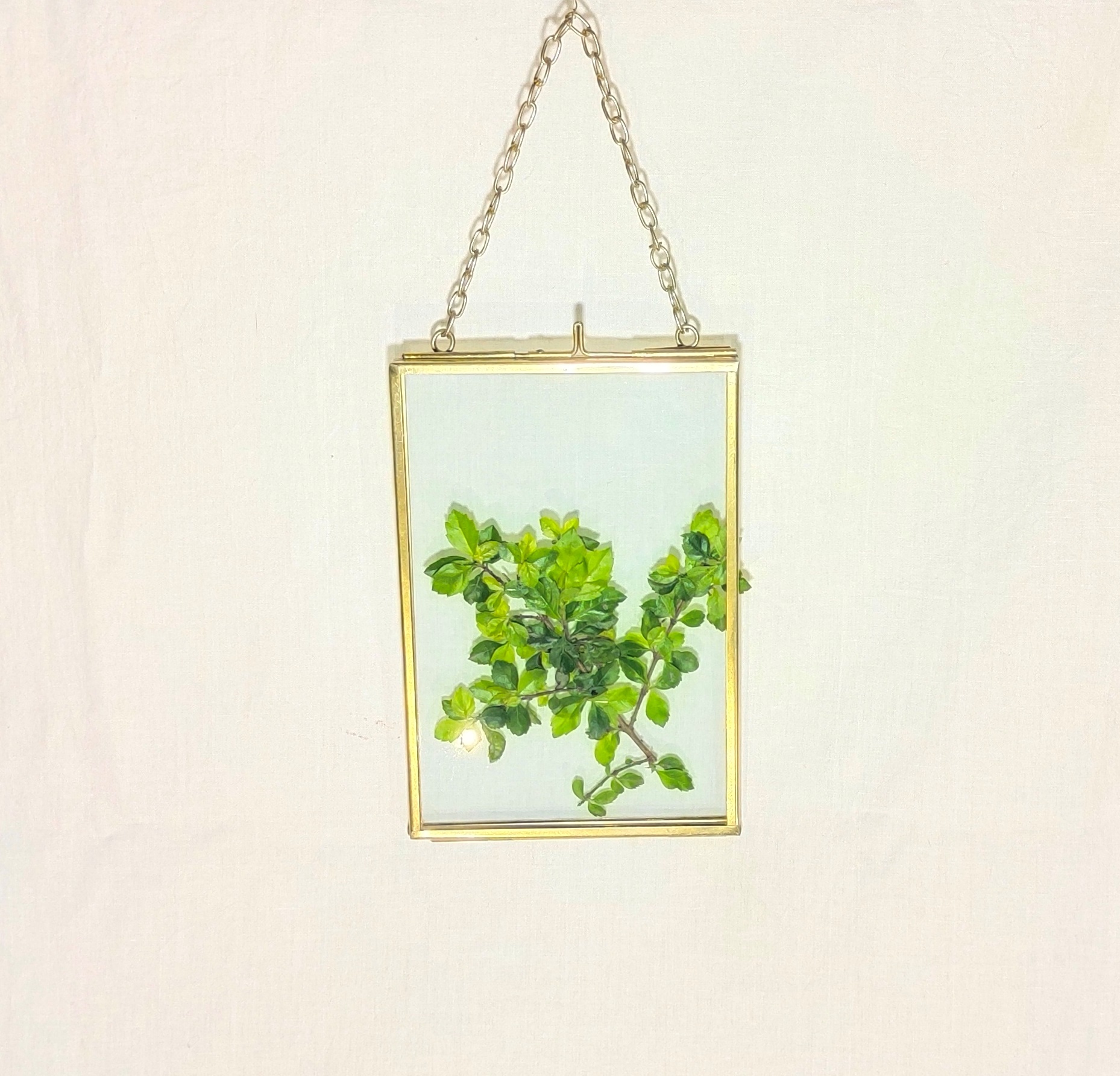 Brass & Glass Decorative Photo Frame - 8x10 Inches, Gold Finish With Hanger, Rectangular Design