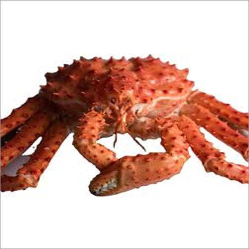 Fresh King Crabs - Premium Quality Seafood | High Protein, Supports Brain and Joint Health