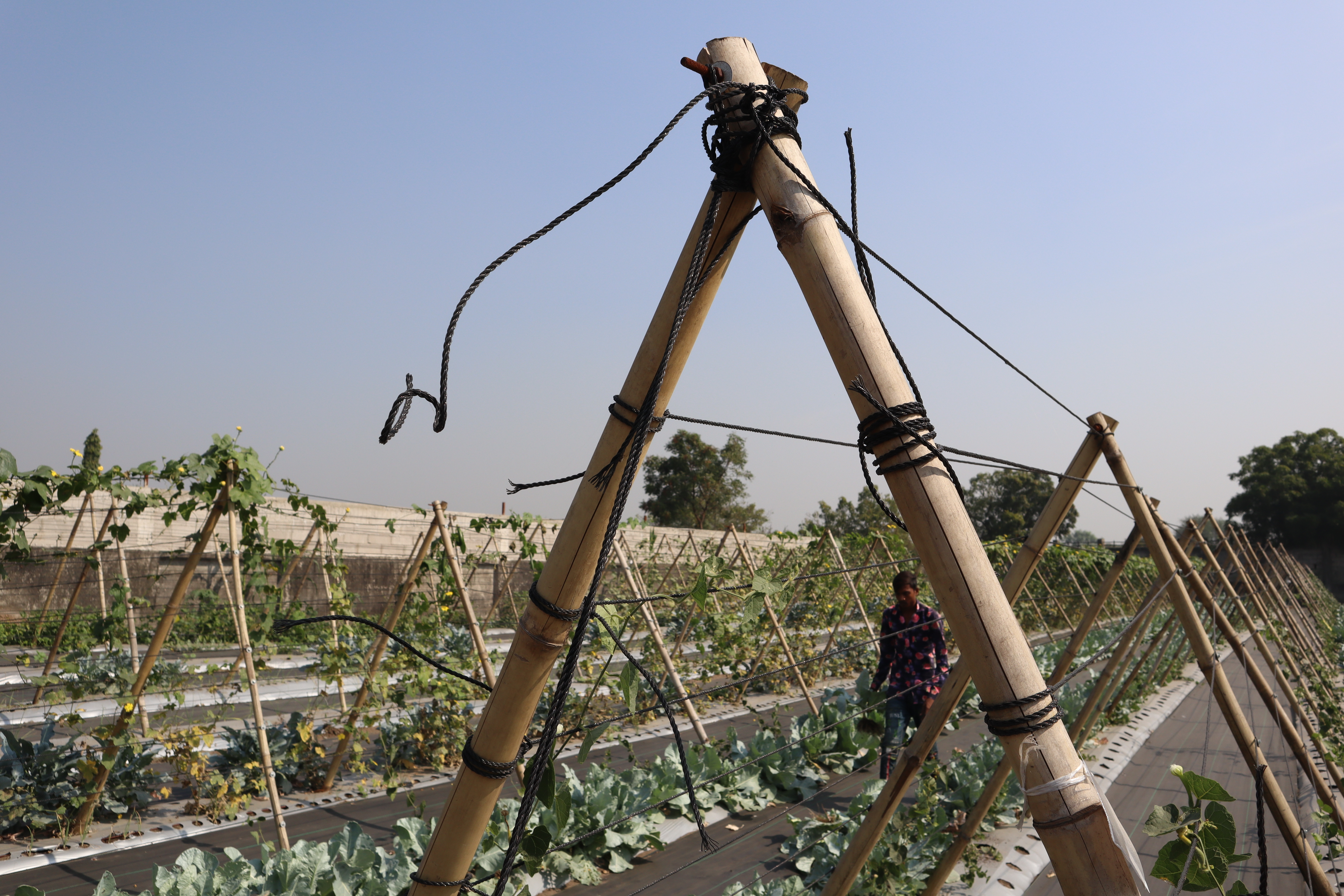 Agriculture Gi Wire