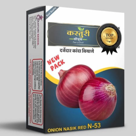 N-53 Nasik Red Onion Seeds - Grade A, High Purity, Nil Moisture | Type: Vegetable Seeds, Available in Customizable Kilograms (kg)