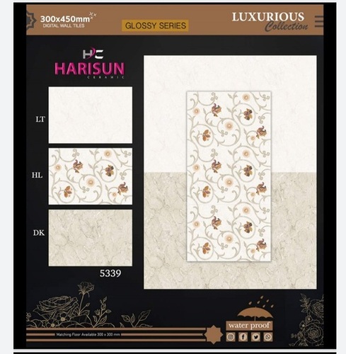 Digital Wall Tiles 300X450