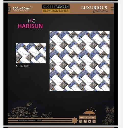 606_Digital Wall Tiles 300X450
