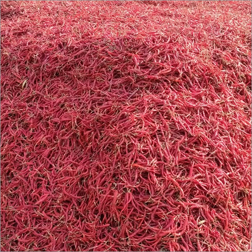 Dried Red Chilli - Grade A Quality, Rich Color And Flavor | Ideal For Culinary Applications, Airtight Packaging For Freshness