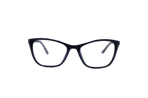 spectacle frame