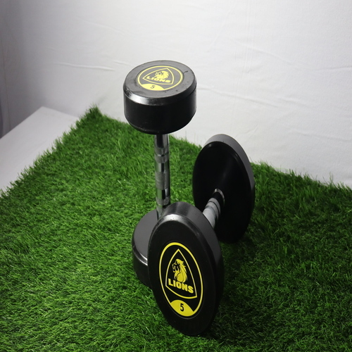 Lion Dumbbell - Grade: Commercial Use