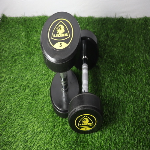 Lion Dumbbell - Grade: Commercial Use