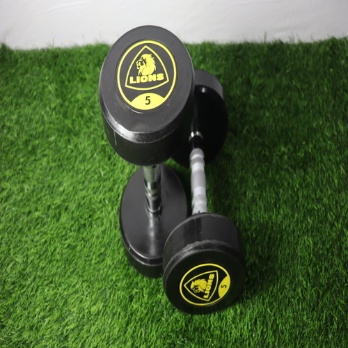 Lion Dumbbell - Grade: Commercial Use