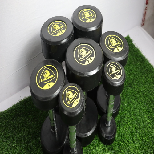 Lion Dumbbell - Grade: Commercial Use
