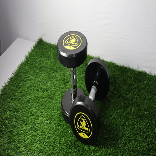 Lion Dumbbell - Grade: Commercial Use