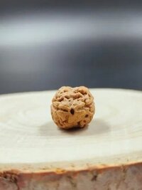 उन्नीस मुखी रुद्राक्ष