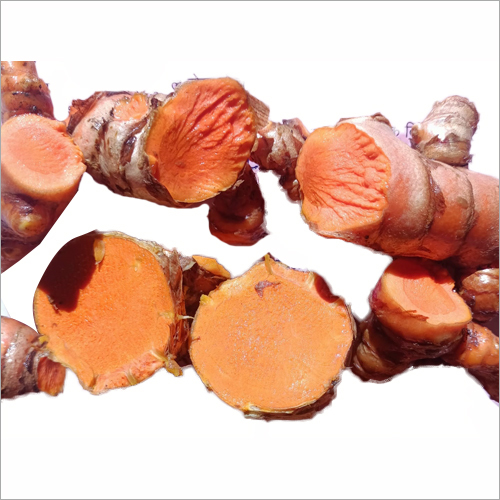 ताजा लकडोंग हल्दी