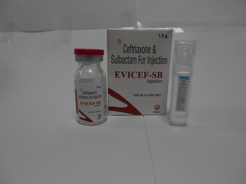 Liquid Evicef-Sb Injection
