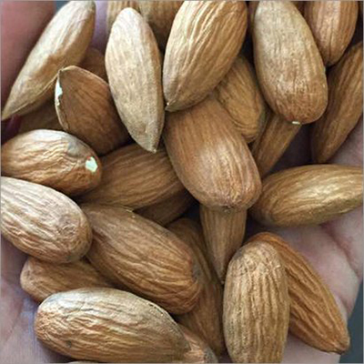 Common Natural Almond