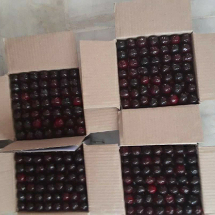  ऑर्गेनिक ब्लैक चेरी