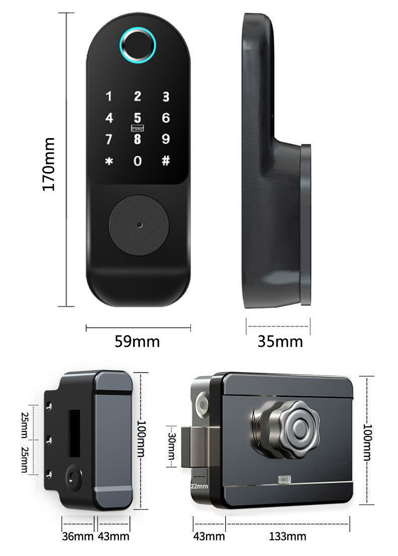 Digital Biometric Rim Lock Application: Door Fitting