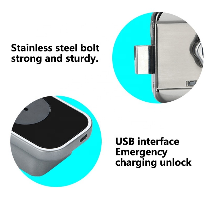 Digital Biometric Rim Lock Application: Door Fitting