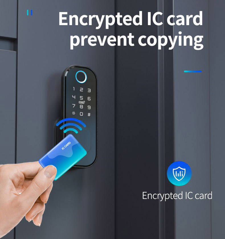 Digital Biometric Rim Lock Application: Door Fitting