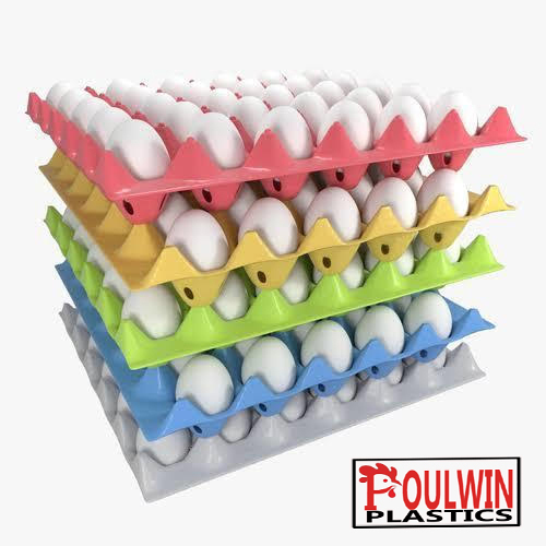 Plastic Poultry Layer Egg Tray