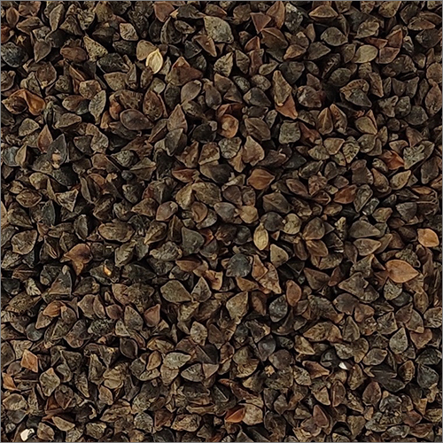 Premium Black Buckwheat Seeds - Cultivation Type: Common