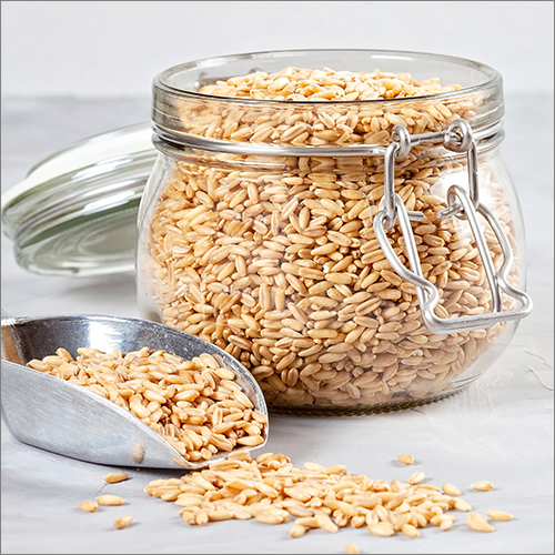 Klin Dried Hulled Oats - Natural Ingredient, 50kg Pp Bag, Brown Color, 8% Moisture | Gluten-free, Low-carb, Wholesome Flavor