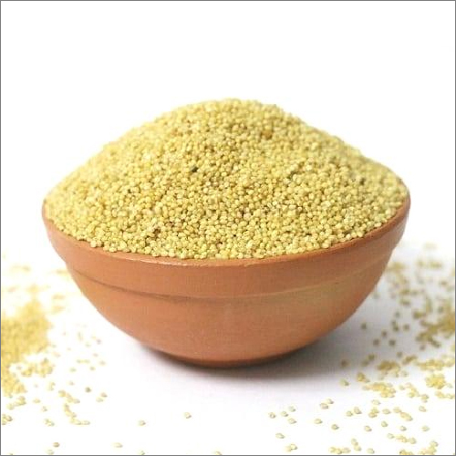 Organic Fresh Foxtail Millet