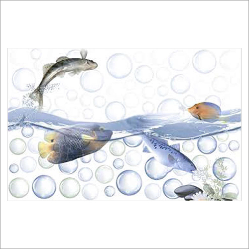 मल्टी कलर 250X375 एमएम फिश सीरीज़ ग्लॉसी फ़िनिश डिजिटल वॉल टाइल्स