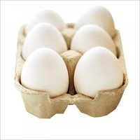 ताजा चिकन सफेद अंडा