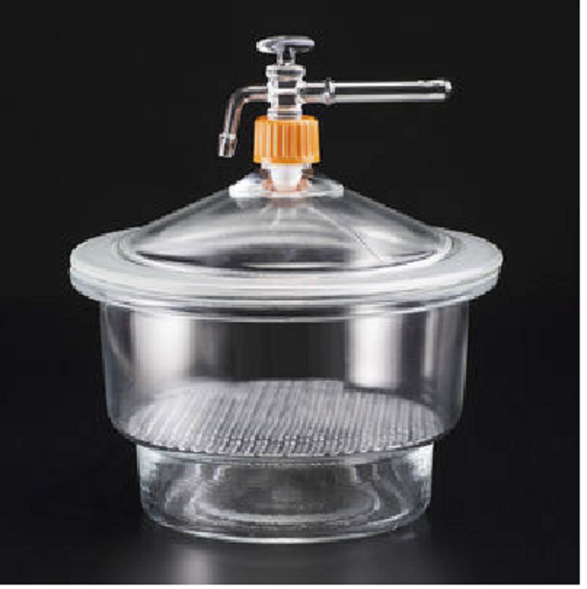 2 Laboratory Desiccator