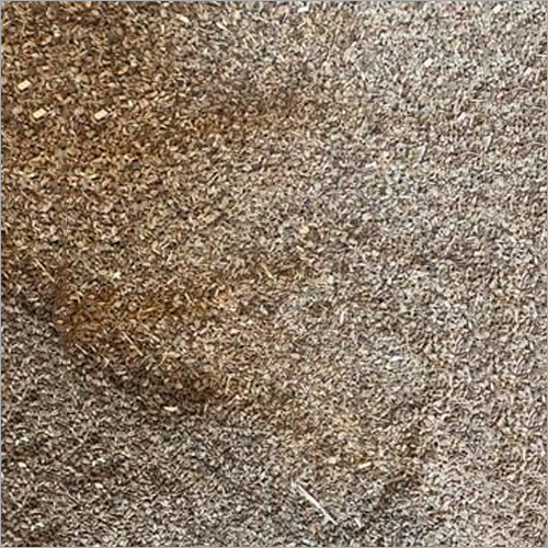 प्राकृतिक धूप में सुखाए अजवायन के बीज