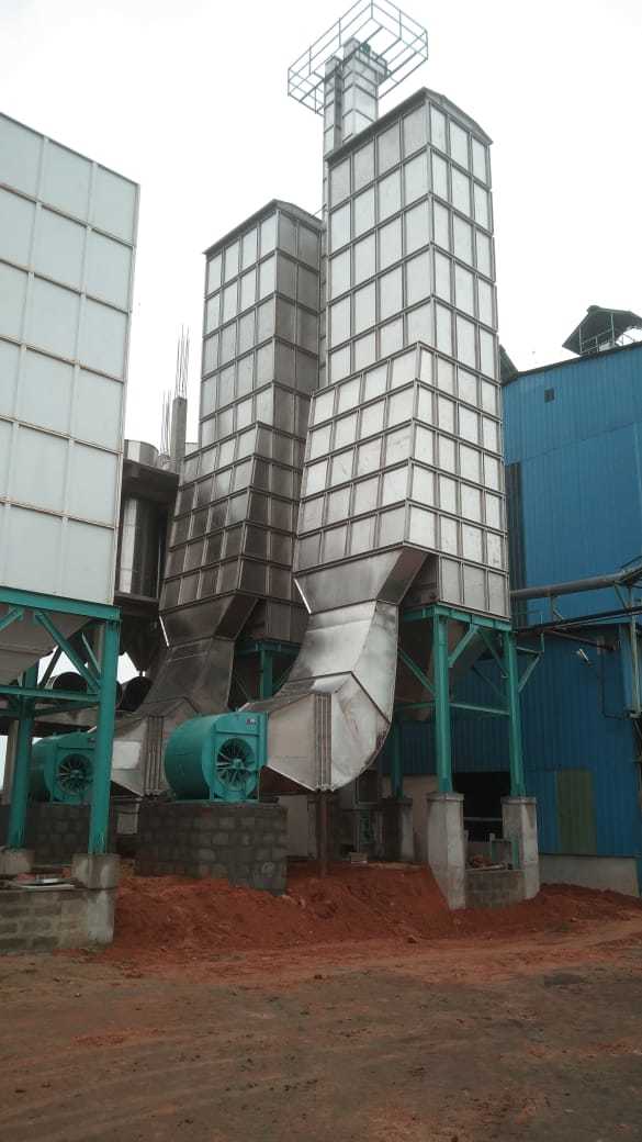 Parboiled Paddy Drier