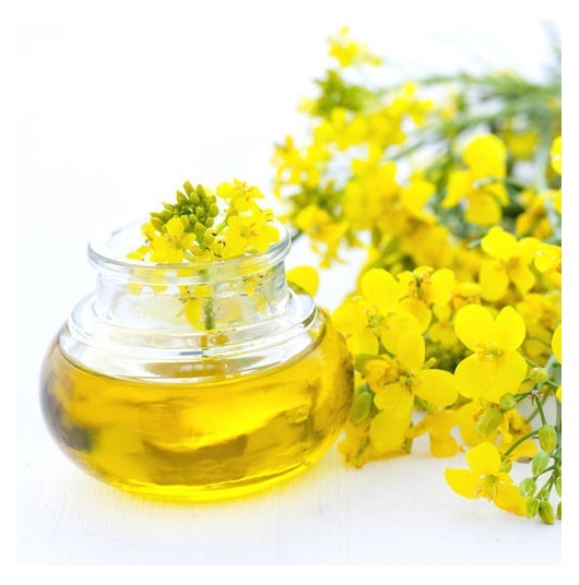 Light Yellow Rapeseed Oil Canola Cooking Oil Available In Bulk Stock
