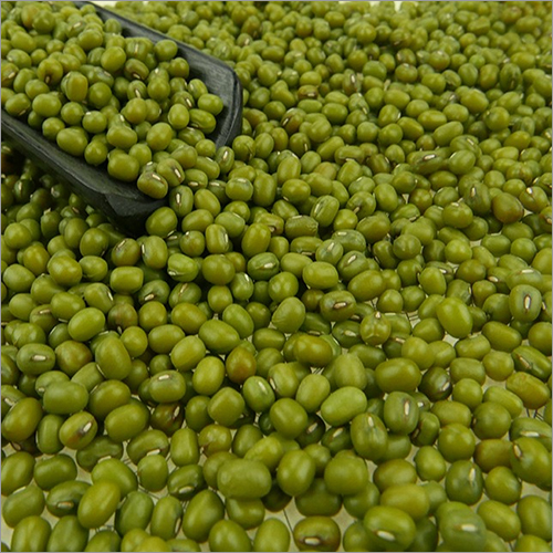 Green Mung Beans - Whole, Common Cultivation | Nutrient-Rich, Antioxidant Boosting, Digestive Health Benefits, Ideal for Weight Loss