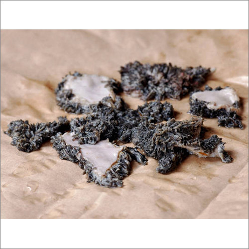 फंगल अल्फा एमिलेज़