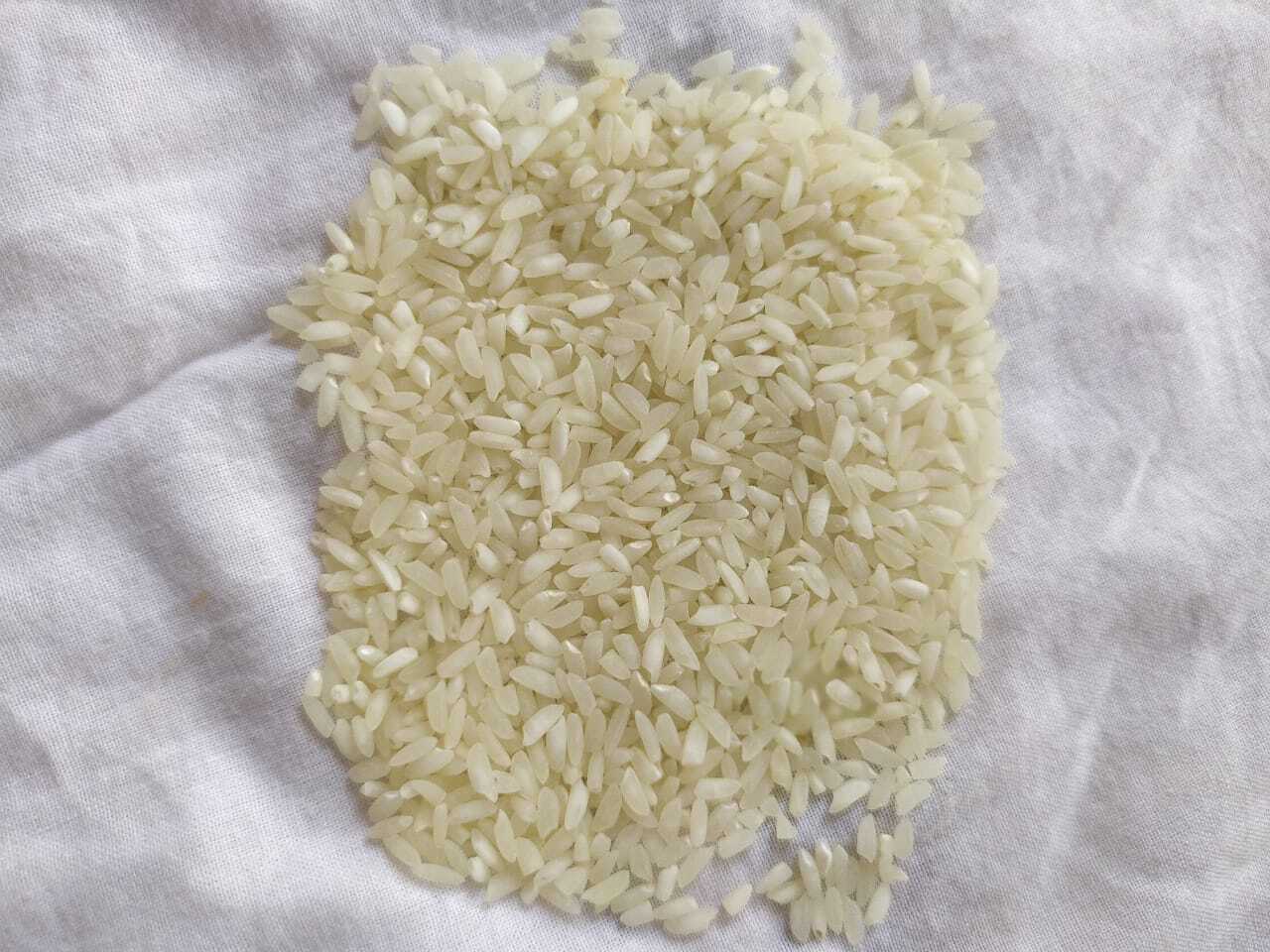 Kalanamak Paddy
