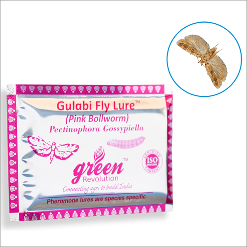 Pink Bollworm Pheromone Lure- Pectinophora Gossypiella Application: Agriculture
