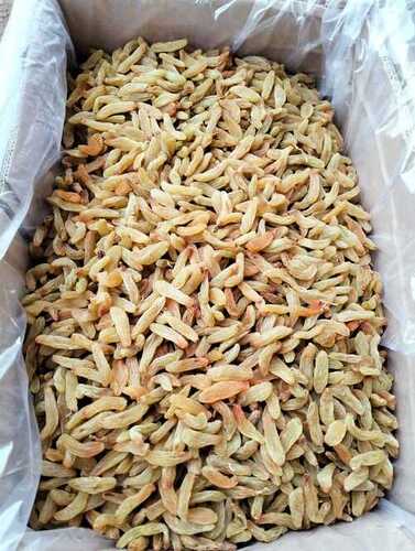 सूखे लंबे हरे किशमिश ग्रेड: ए