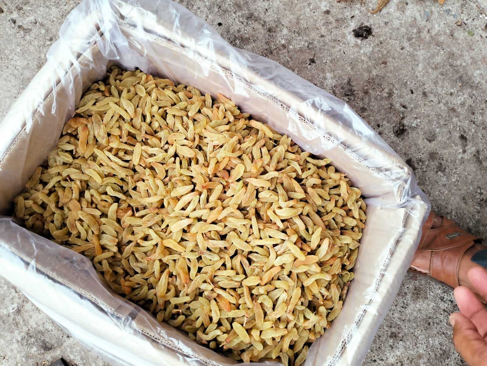 Dried Long Green Raisins - Long Size, Brown Green Color | Sweet Taste, High Shelf Life, Versatile For Sweets, Cookies, And Ice-creams