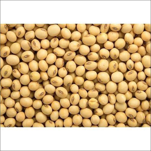 Soybean Meal - Granulated Structure, 5% Admixture, 100% Moisture, Dried Style for Cattle and Chicken