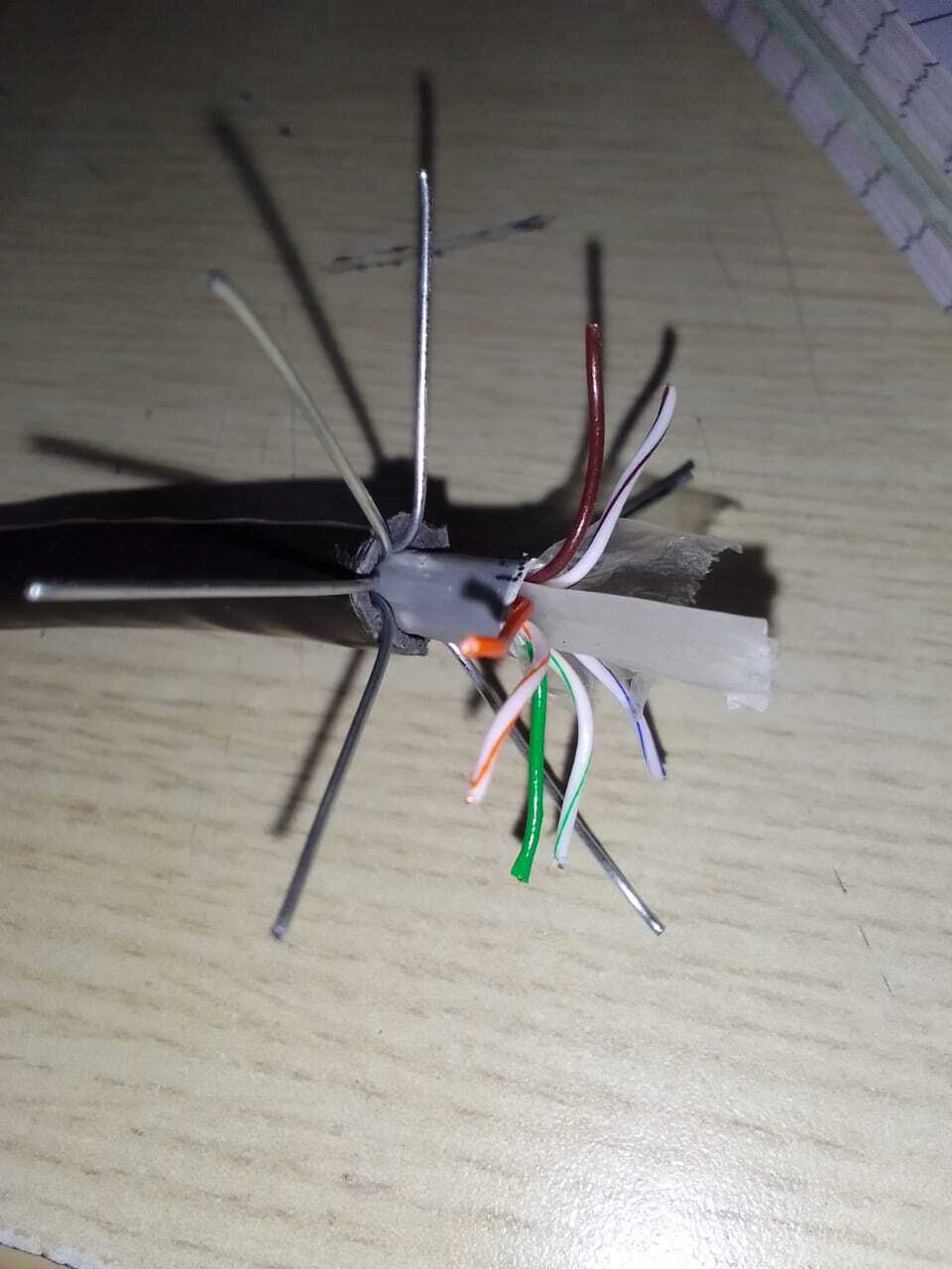Cat 6 Armored Cable