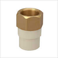 Cream & Golden Cpvc Brass Hex Female Threaded Adapter