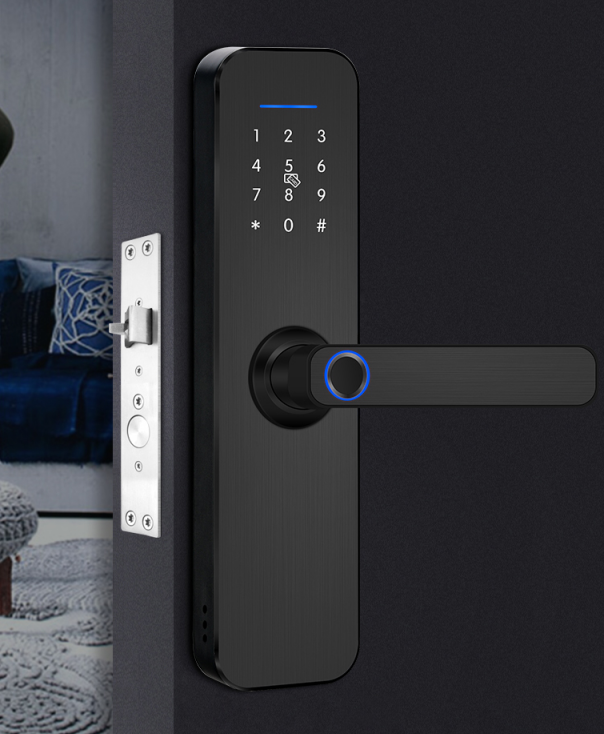 Black Fingerprint Door