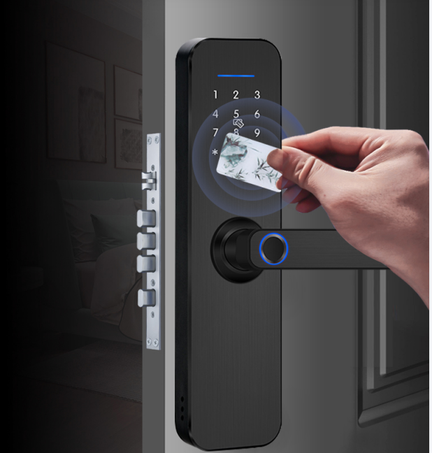 Black Fingerprint Door