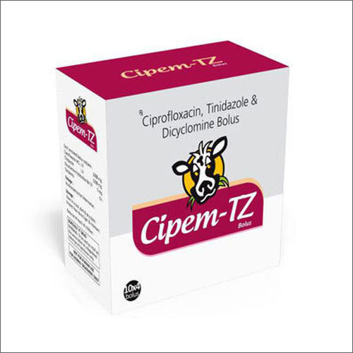Ciprofloxacin Tinidazole And Dicyclomine Bolus Fine Chemical Drug