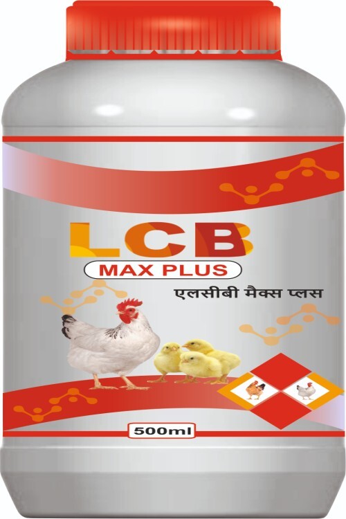 Lcb Max Plus पोल्ट्री फीड सप्लीमेंट: जलीय जानवरों के लिए उपयुक्त है