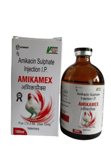 लिक्विड 100ml एमिकासिन सल्फेट इंजेक्शन आईपी