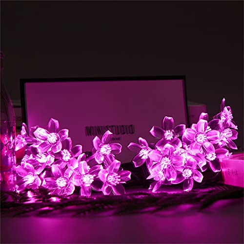 String Fairy Pink Flower Lights - Plastic, 4 Meter Length, Pink Color | Led Decorative Lighting For Celebrations And Occasions