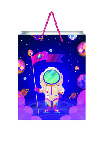 मीडियम लग्जरी मैजेंटा स्पेस कैरी बैग