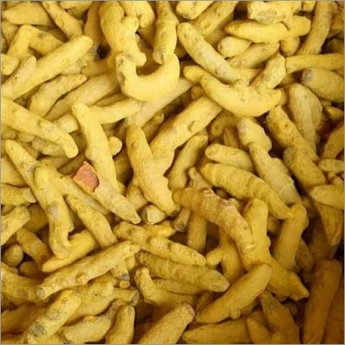 ताजा हल्दी फिंगर